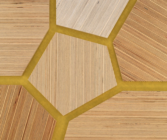 Plexwood - Birke Farbreferenzen | Holz Platten | Plexwood