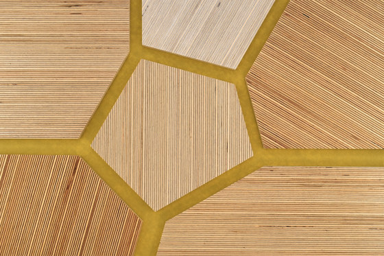 Plexwood - Abedul Yellow 13 | Planchas de madera | Plexwood