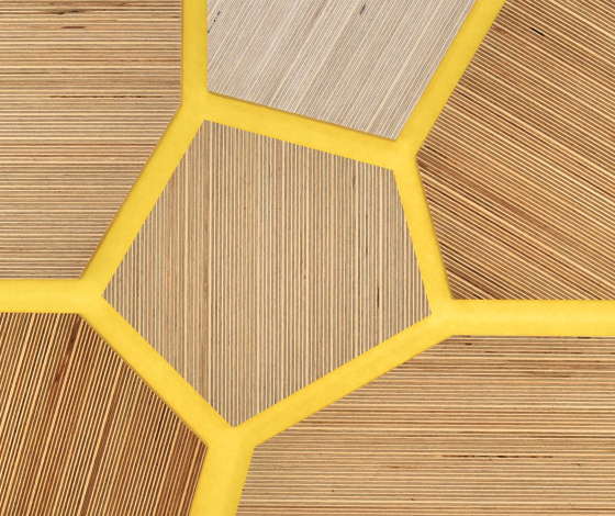 Plexwood - Abedul referencias de color | Planchas de madera | Plexwood