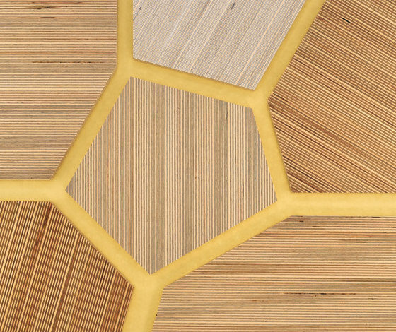 Plexwood - Abedul referencias de color | Planchas de madera | Plexwood