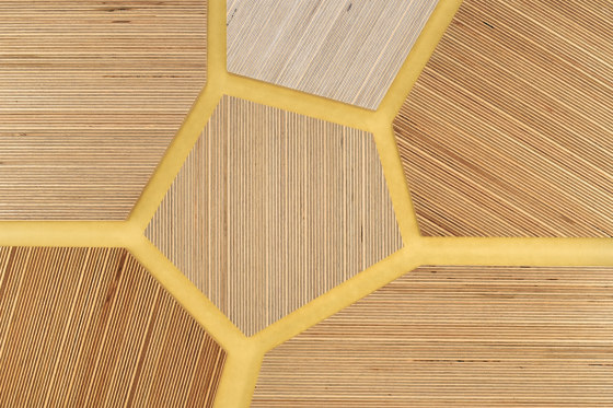 Plexwood - Birch Yellow 74 | Wood panels | Plexwood