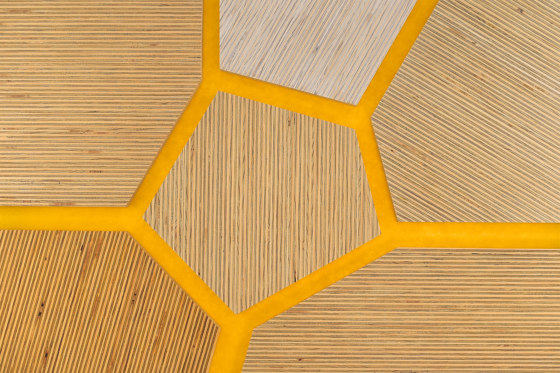 Plexwood - Fichte Yellow 01 | Holz Platten | Plexwood