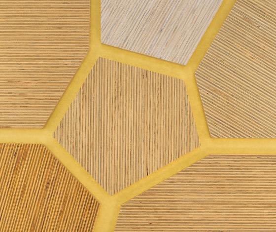 Plexwood - Fichte Farbreferenzen | Holz Platten | Plexwood