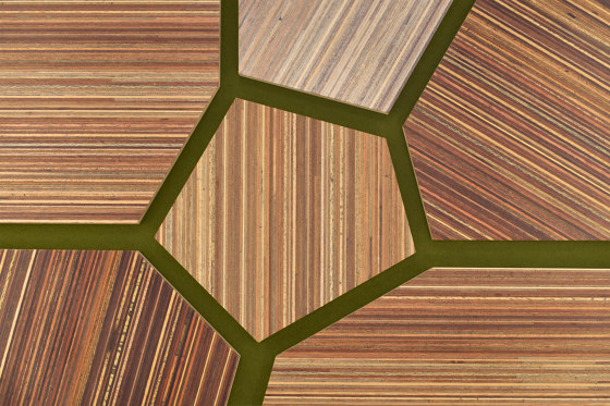 Plexwood - Meranti Green 14 | Pannelli legno | Plexwood