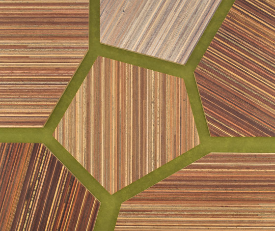 Plexwood - Meranti referencias de color | Planchas de madera | Plexwood