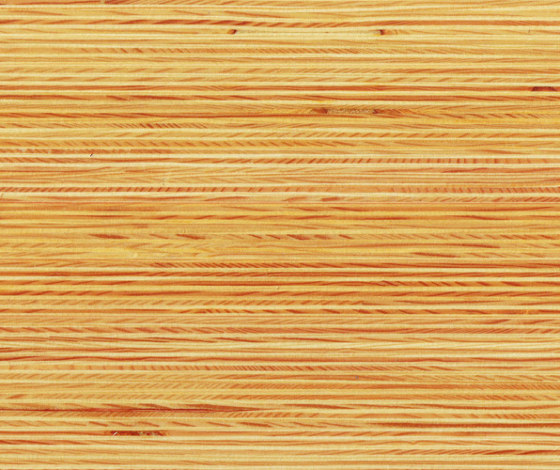 Plexwood - Pine | Wood panels | Plexwood