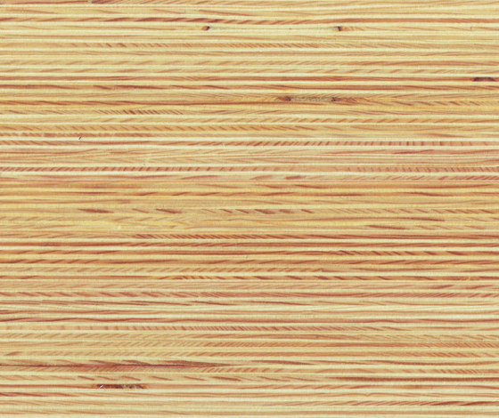 Plexwood - Pine | Wood panels | Plexwood