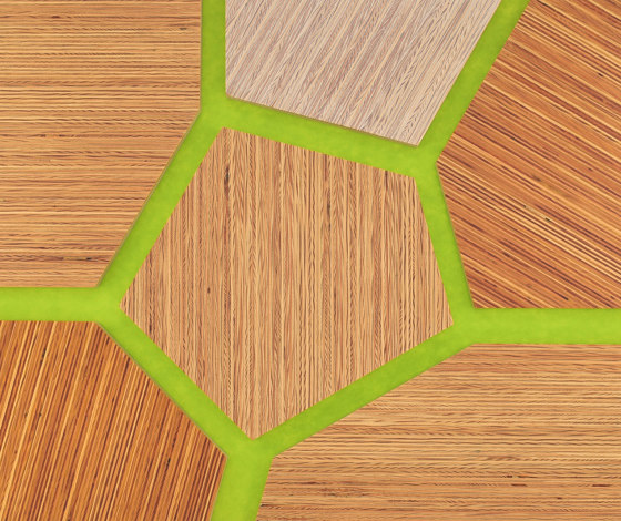 Plexwood - Pino referencias de color | Planchas de madera | Plexwood