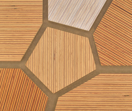 Plexwood - Pine/Ocoumé colour references | Wood panels | Plexwood