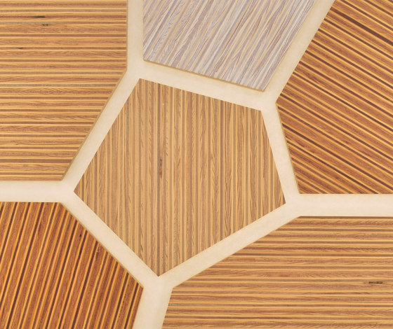 Plexwood - Pine/Ocoumé colour references | Wood panels | Plexwood