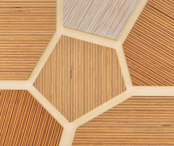 Plexwood - Pine/Ocoumé colour references | Wood panels | Plexwood