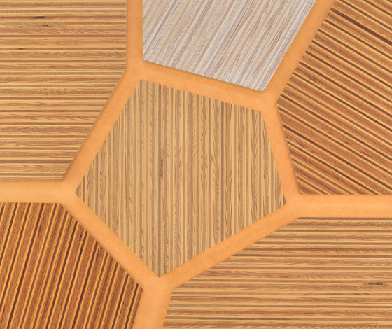 Plexwood - Kiefer/Okoumé Farbreferenzen | Holz Platten | Plexwood