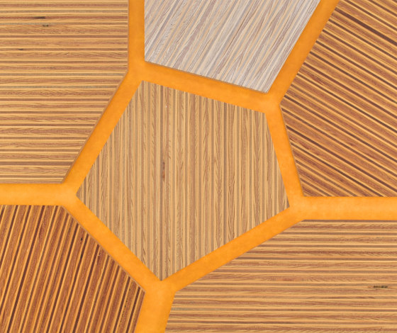 Plexwood - Kiefer/Okoumé Farbreferenzen | Holz Platten | Plexwood