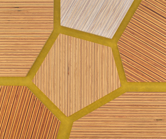 Plexwood - Pine/Ocoumé colour references | Wood panels | Plexwood