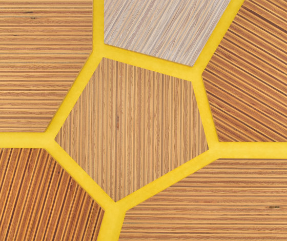 Plexwood - Pine/Ocoumé colour references | Wood panels | Plexwood