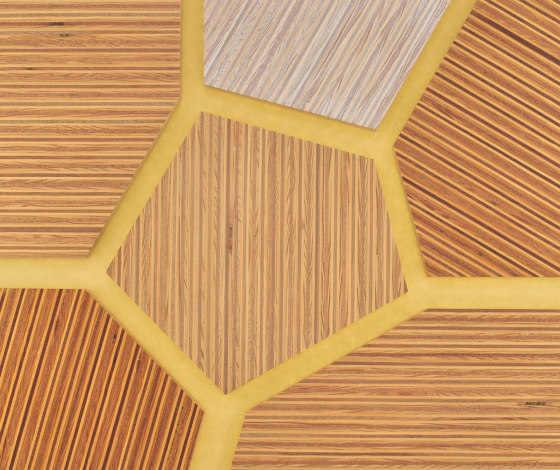 Plexwood - Pine/Ocoumé colour references | Wood panels | Plexwood