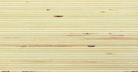 Plexwood - Poplar | Wood panels | Plexwood