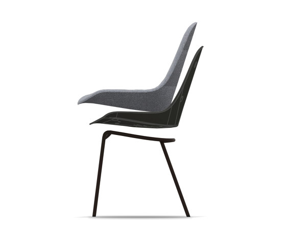 Sheru Evo | Chairs | Walter K.