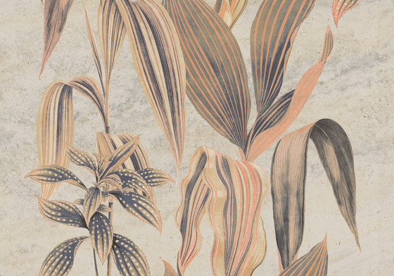 Botana da Marmoro Orange | Wall coverings / wallpapers | k'moor