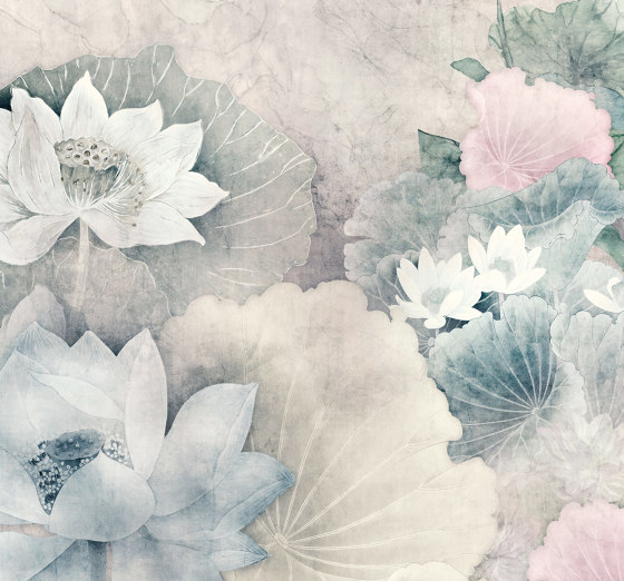 Lotus Zen | Wall coverings / wallpapers | k'moor