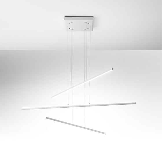 Polo_Straight_P3 | Pendelleuchten | Linea Light Group