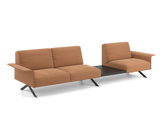 Sistema legs sofa | Divani | viccarbe