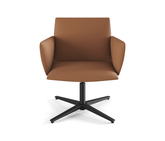 Noha lounge chair with upholstered armrest | Sedie | viccarbe