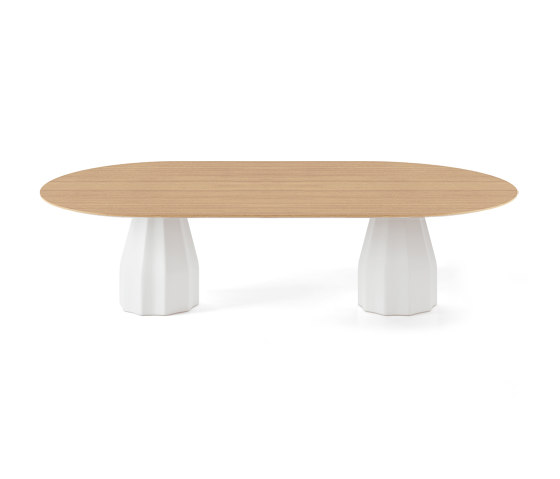 Burin 240x120 H74 | Tables de repas | viccarbe