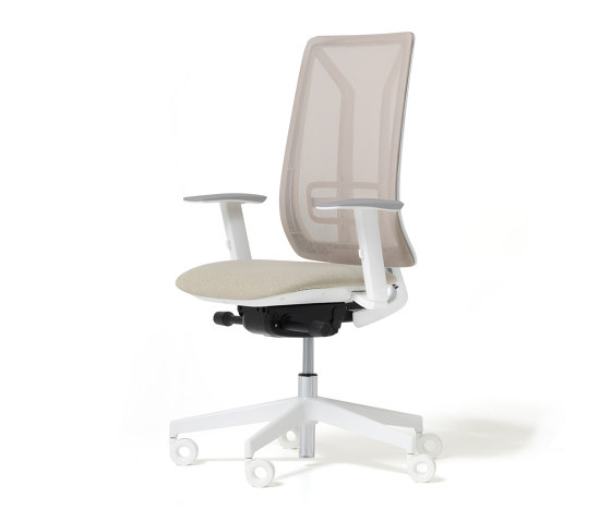 Ace - Task chairs | Office chairs | Diemme