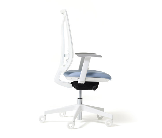 Ace - Task chairs | Office chairs | Diemme