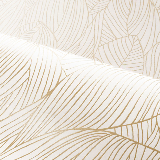 HOSTA IVOIRE/DORÉ | Wall coverings / wallpapers | Casamance