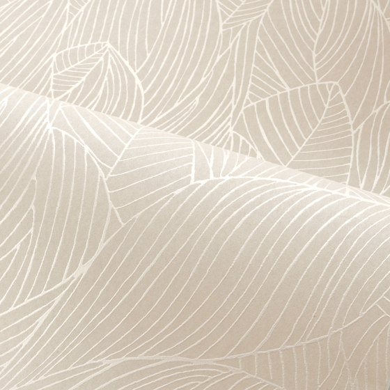 HOSTA NOIR/DORÉ | Wall coverings / wallpapers | Casamance