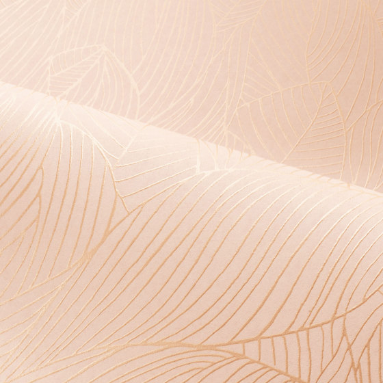 HOSTA ROSE POUDRÉ/DORÉ | Wall coverings / wallpapers | Casamance