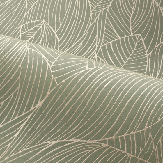 HOSTA SAUGE/DORÉ | Wall coverings / wallpapers | Casamance