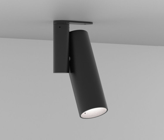 Vector Pivot Black (Ceiling Config) | Lampade outdoor soffitto | Dexter