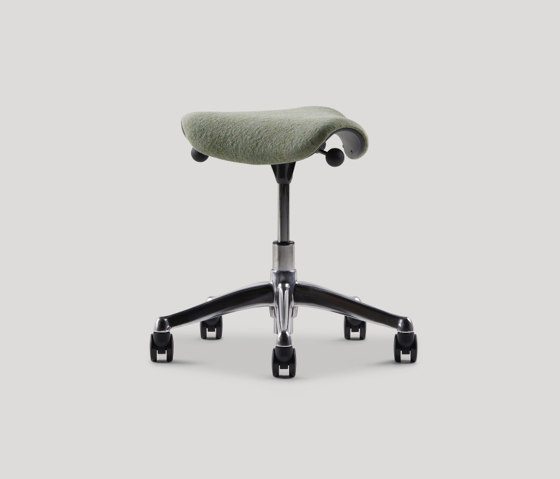 Freedom Saddle/Pony Saddle | Swivel stools | Humanscale