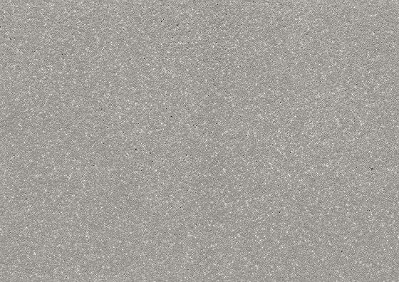 luce silver | silvergrey | ferro | Panneaux de béton | Rieder