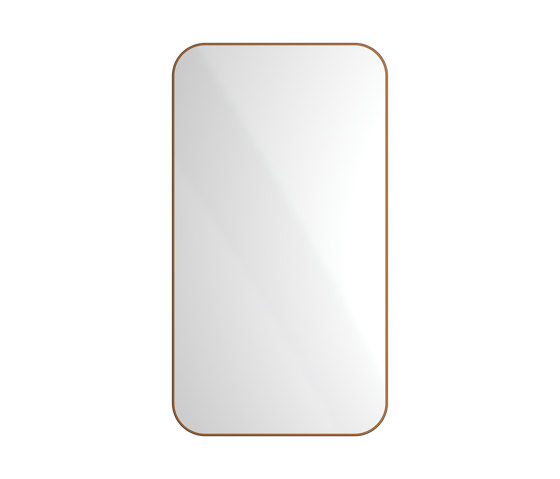 Radius | PVD Bronze Wall Mount Mirror / Rectangular | Bath mirrors | The Splash Lab