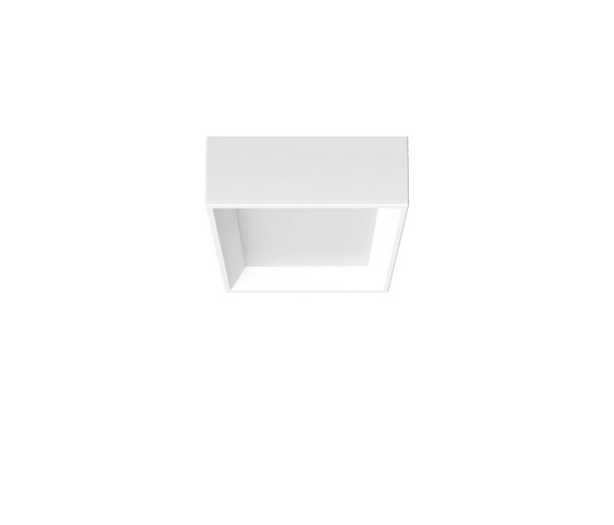 Tara Mini | Ceiling lights | Linea Light Group