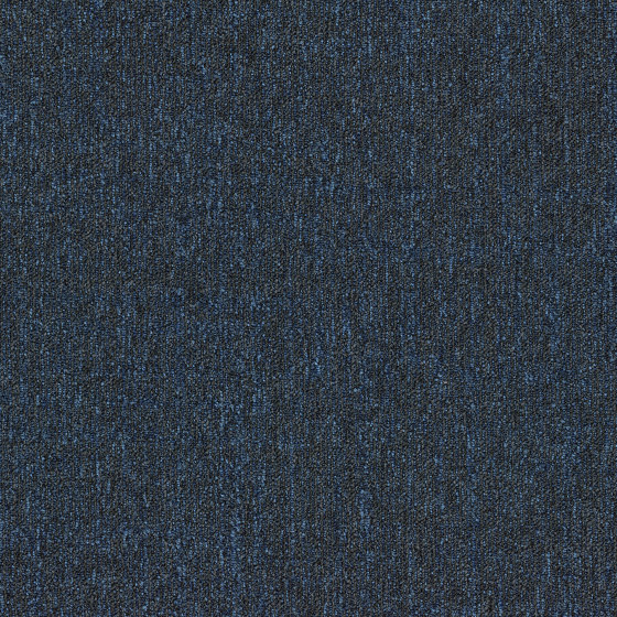 Artus 592 | Carpet tiles | modulyss