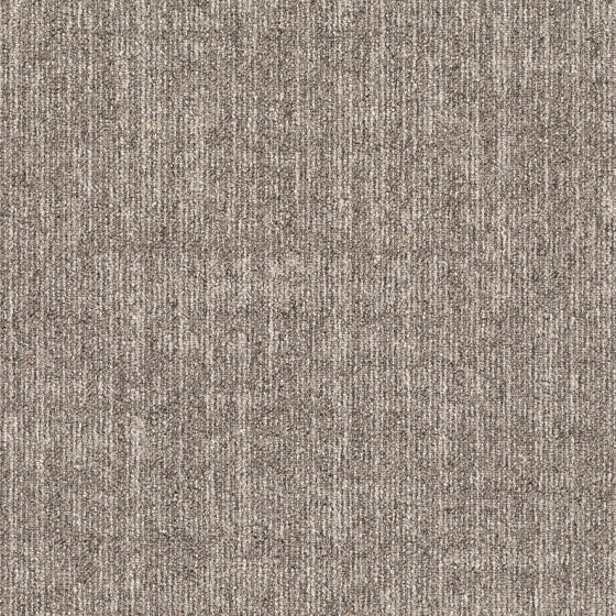 Artus 848 | Carpet tiles | modulyss