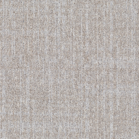 Artus 968 | Carpet tiles | modulyss