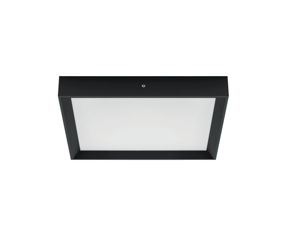 Tara Emergency | Ceiling lights | Linea Light Group