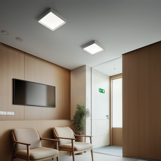 Tara UPS | Ceiling lights | Linea Light Group