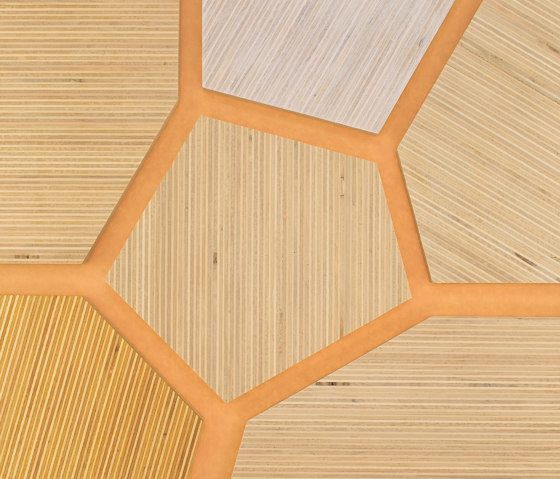 Plexwood - Poplar colour references | Wood panels | Plexwood