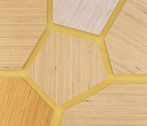 Plexwood - Pappel Farbreferenzen | Holz Platten | Plexwood