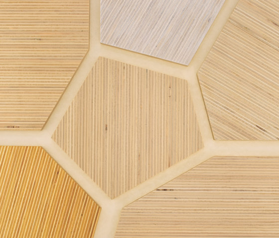 Plexwood - Pappel Farbreferenzen | Holz Platten | Plexwood