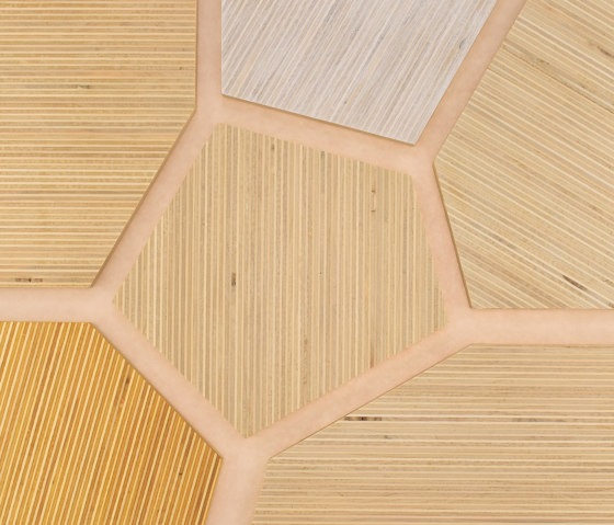 Plexwood - Poplar colour references | Wood panels | Plexwood