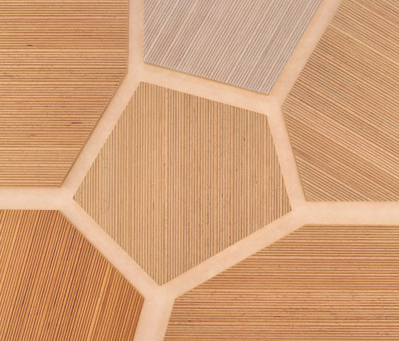 Plexwood - Haya referencias de color | Planchas de madera | Plexwood