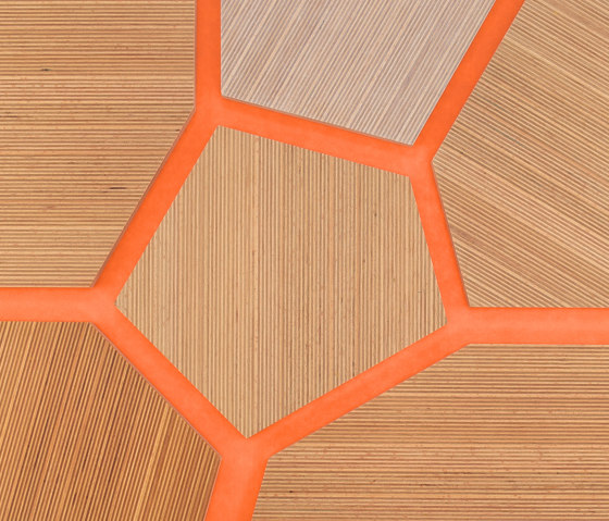 Plexwood - Haya referencias de color | Planchas de madera | Plexwood